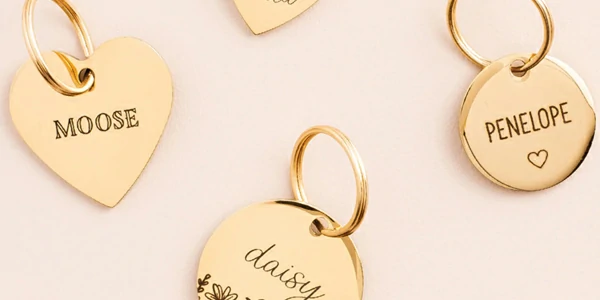 Get It Now, Ship It Quick! Shop the World, Delivered Fast!