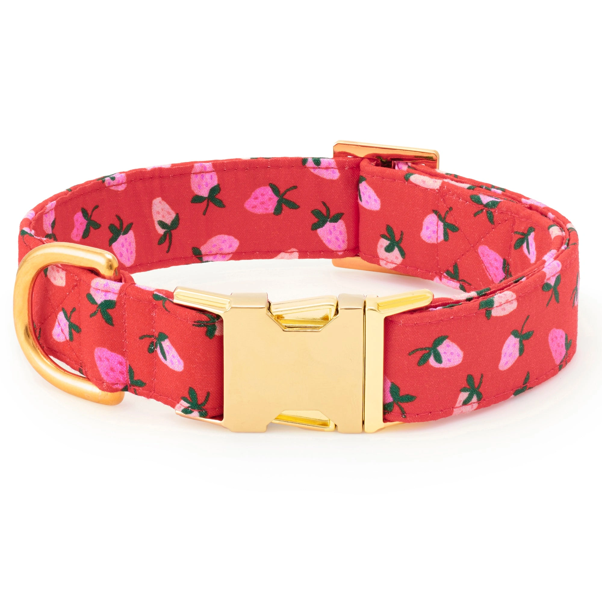 Sweet Berry Stroll Set: Your Pup's Dream Walkies!